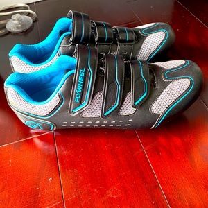 Flywheel spin shoes